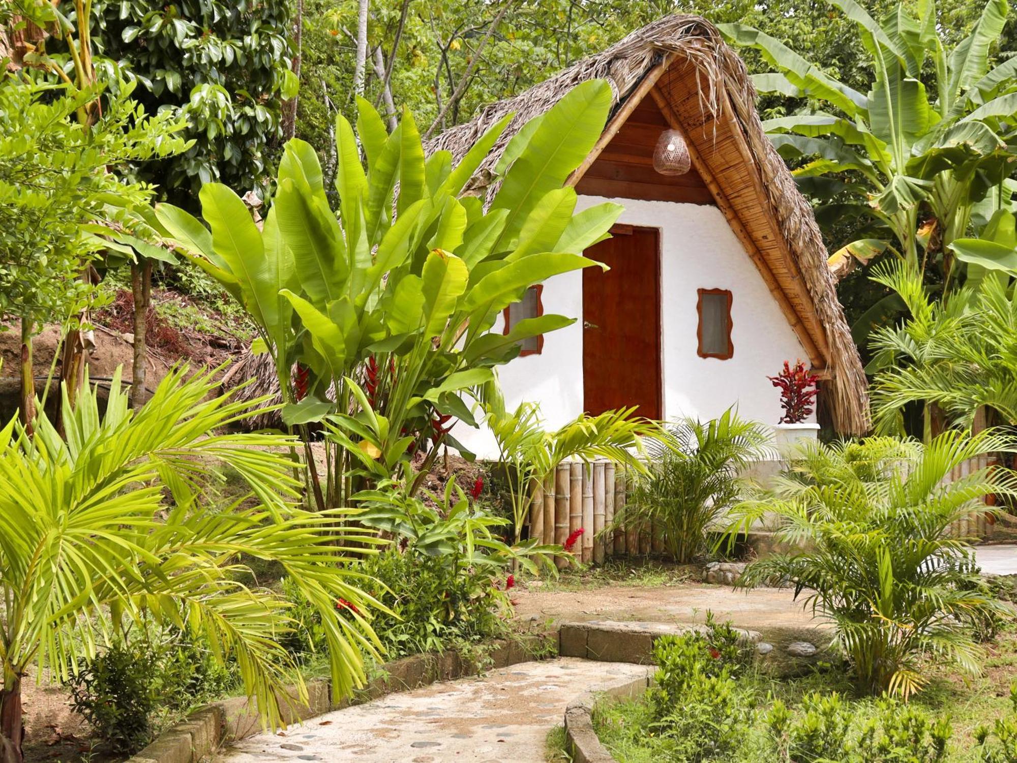 Eco Hotel Amanecer Tayrona El Zaino Eksteriør bilde
